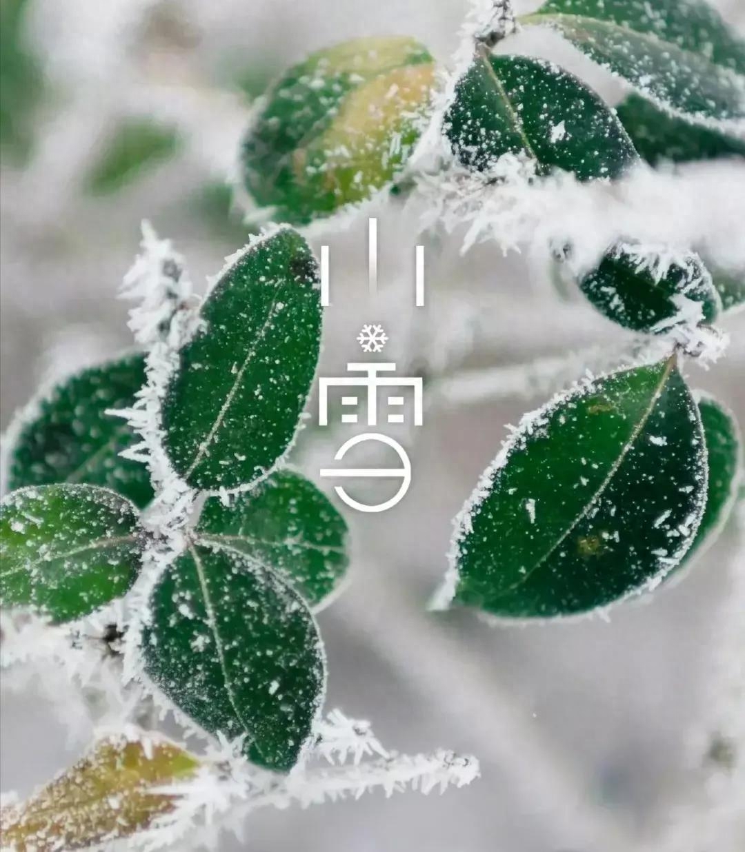 大雪诗词名句大全（大雪节气咏怀诗词24首）