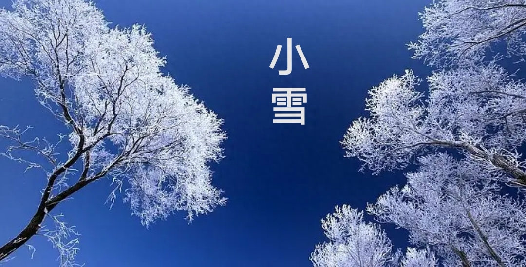 小雪诗词名句摘抄（小雪节气咏怀诗词22首）