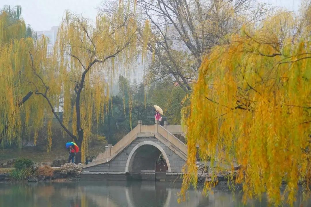 小雪诗词名句摘抄（小雪节气咏怀诗词22首）