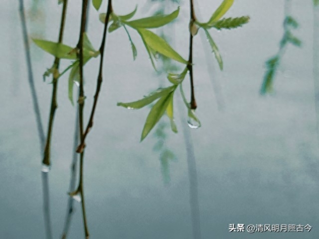 听雨唯美诗词大全（六首听雨的诗词）