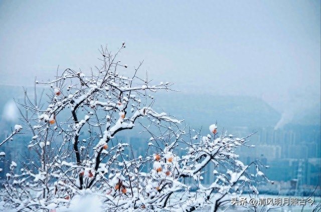 初雪唯美诗词大全（隆冬初雪九首古诗词）