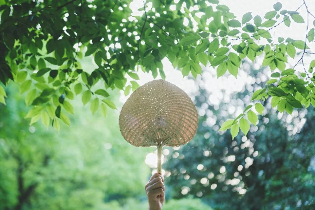 溪涨清风拂面，月落繁星满天（20首小暑优美诗词）