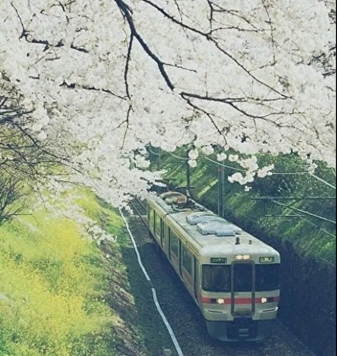 旅行诗词古句有哪些（7首经典旅行古诗词）