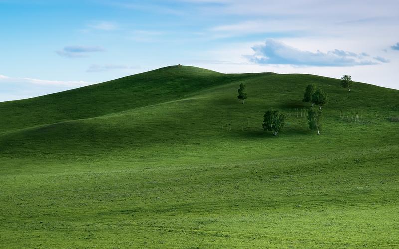 美丽的春天风景作文（《难忘的风景》）