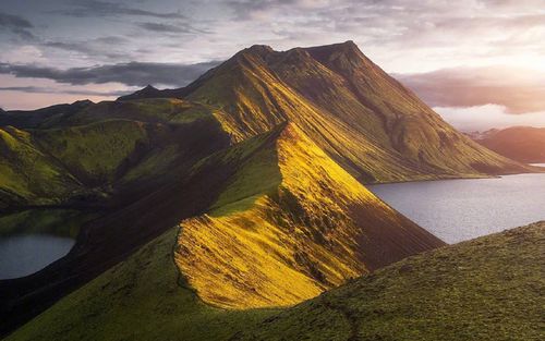 美丽的春天风景作文（《迷人的风景》）