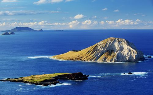 美丽的冬天风景作文（《窗外的风景》）