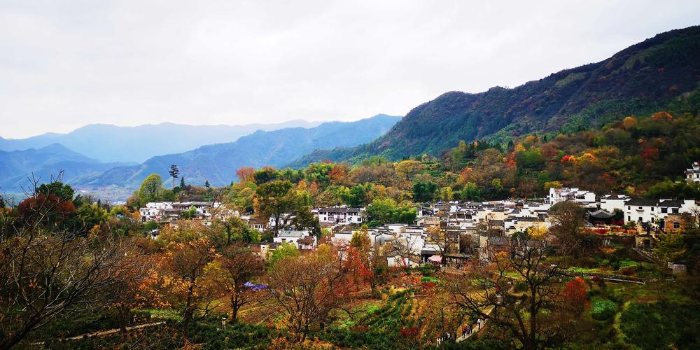 美丽的故乡风景作文（《童年的风景》）