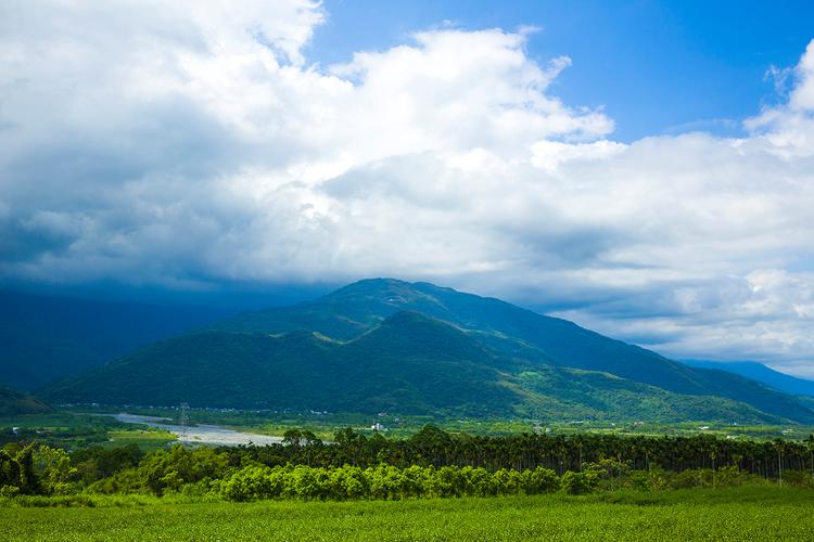 别样的风景话题作文（《别样的风景》）