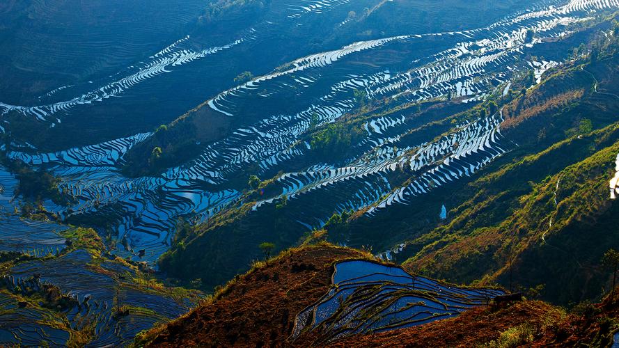 美丽的黄山风景优秀作文（《家乡的风景》）