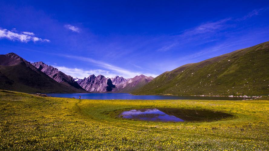 最美丽的风景作文（《难忘的风景》）