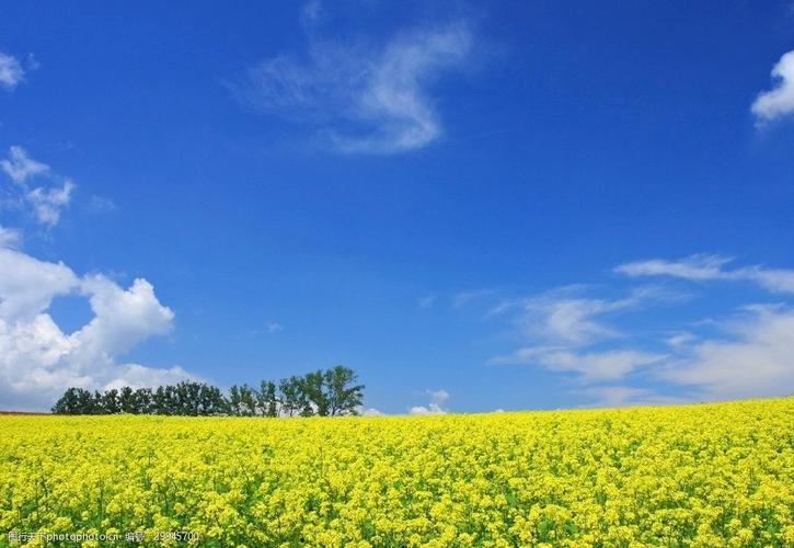 令人难忘的风景优秀作文（《风景如画》）