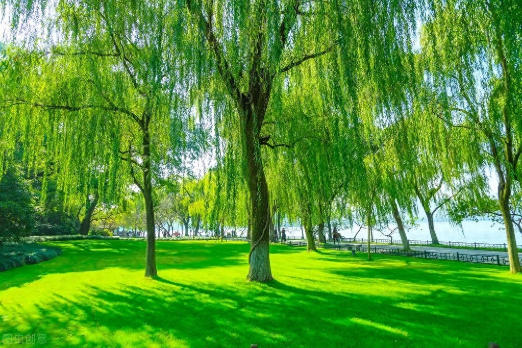 蜂蝶不知春已去，又衔花瓣到兰房（优美的5首夏天古诗）