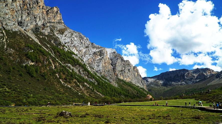 美丽的田园风景优秀作文（《窗外的风景》）