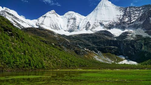 美丽的田园风景优秀作文（《窗外的风景》）