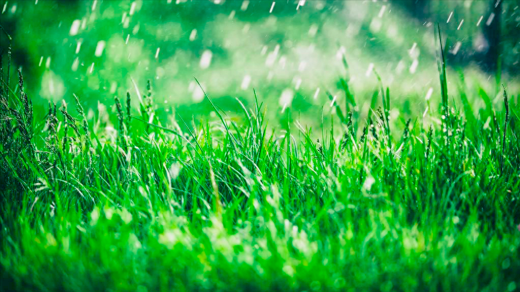 关于春雨的10首小诗（看春雨缠绵，品人生清欢）