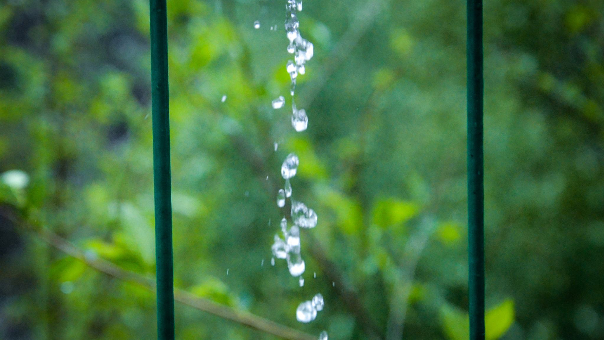 关于春雨的10首小诗（看春雨缠绵，品人生清欢）