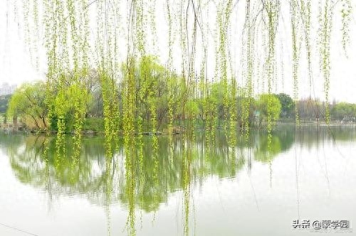 春日唯美古诗有哪些（元稹20首春日诗词）