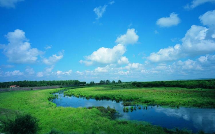 关于夏天的风景作文（《别样的风景》）