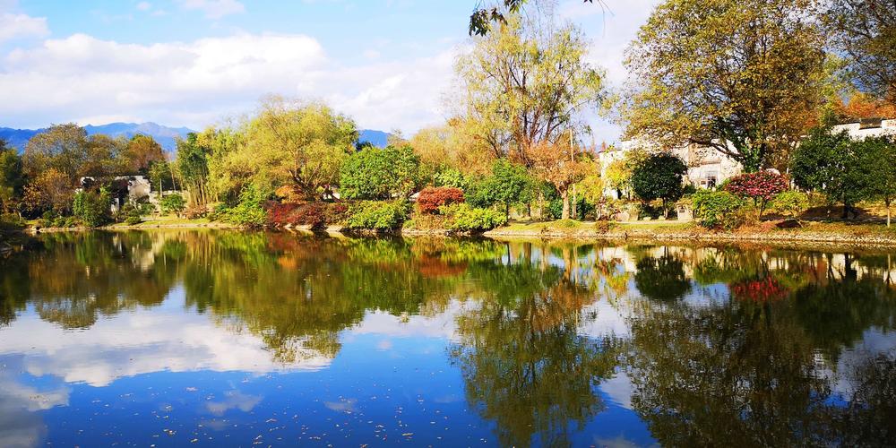 迷人的乡村风景优秀作文（《难忘的风景》）