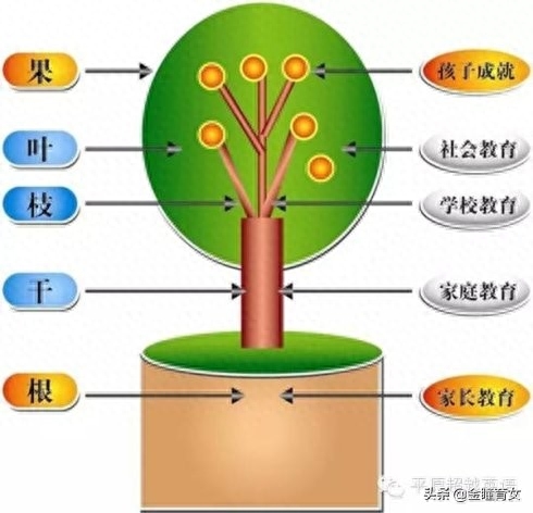 家庭教育小方法有哪些（有效的家庭教育方法）