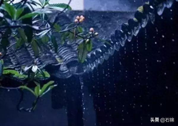 听雨唯美诗词大全（五首听雨诗词）