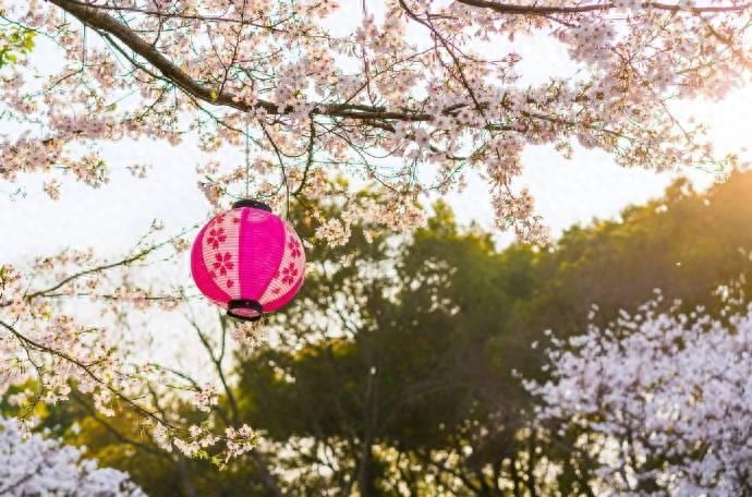 蝶恋花经典古诗词全集，七首唯美《蝶恋花》