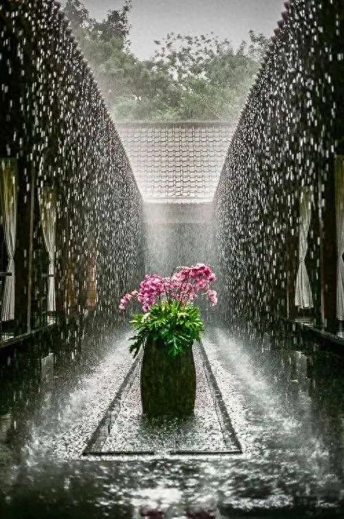 夏雨诗词名句有哪些（十二首夏雨诗词）