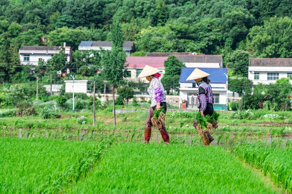 柳宗元诗词名句大全（十首柳宗元诗词）