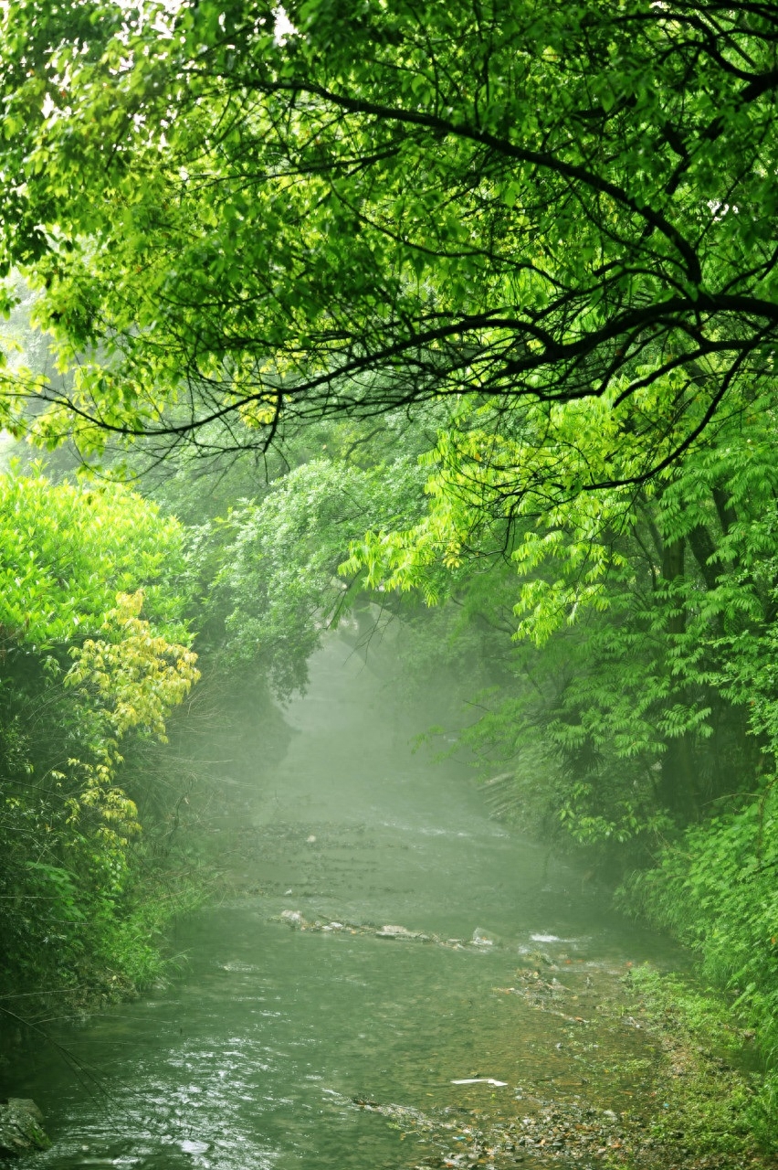 苍茫缥缈唯美古诗大全（十首苍茫缥缈诗词）