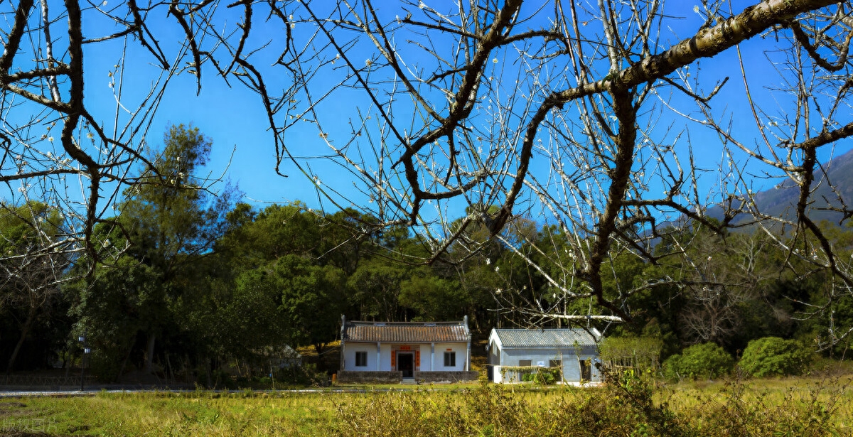 村居唯美古诗有哪些（十五首村居诗词）