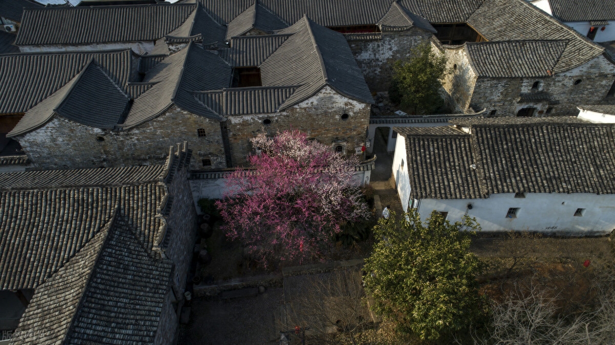 村居唯美古诗有哪些（十五首村居诗词）