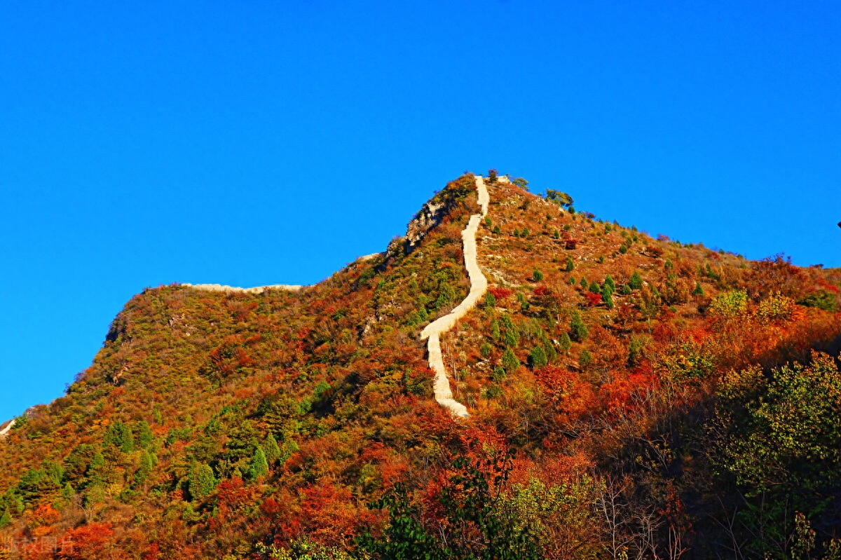 秋天唯美古诗词名句（二十首秋天的诗词）