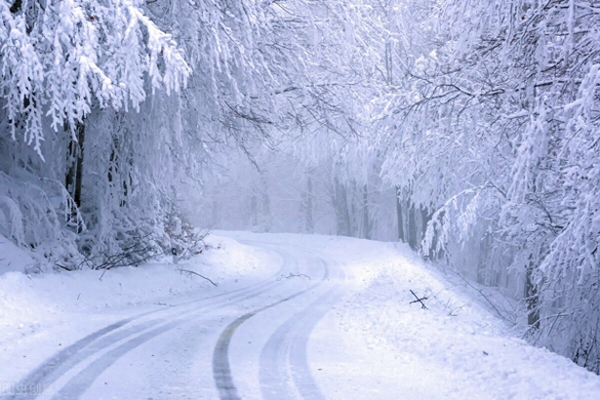 冬宜密雪，有碎玉声（分享五首唯美雪趣诗词）