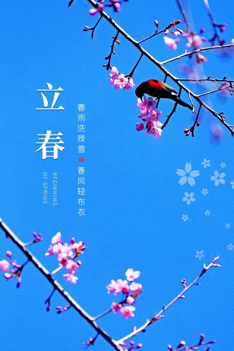 有关2023立春说说祝福问候语的句子简短（以温暖祝福照亮人生路，抚慰疲惫心灵）