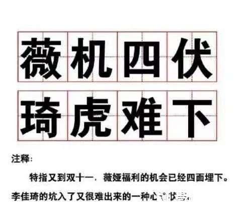 形容双11的句子（双十一狂欢之夜：掀起购物潮）