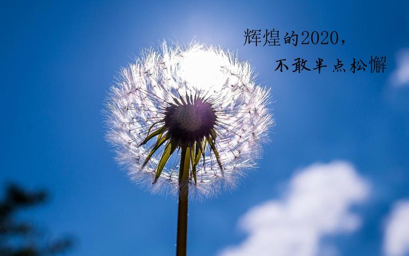 2020年跨年夜的说说（2023跨年夜，璀璨夜空，铭刻心间）