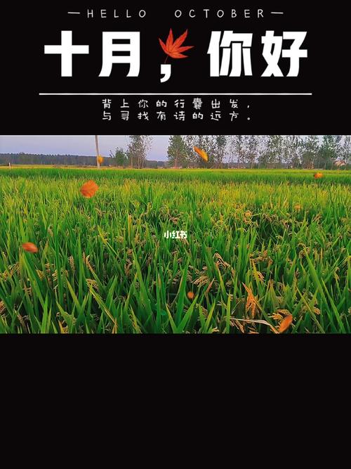 关于9月再见10月你好的说说（2023，再见十月，你好心情）