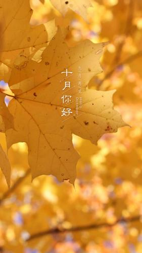 9月已过去10月的句子（九月已过，十月你好心情）