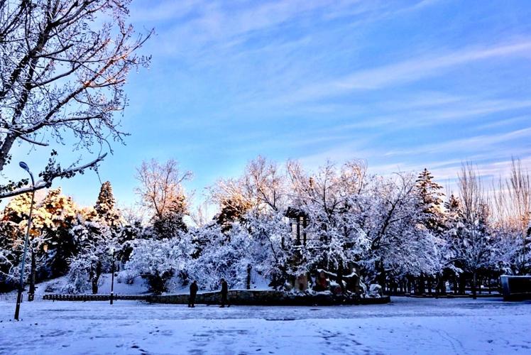 大雪情怀的诗句（雪落情深，笔尖流丹）