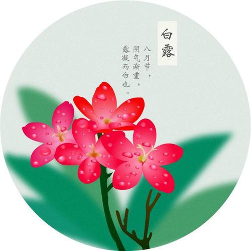 适合白露节气的说说（白露节气祝福语录——唯美短句传递节日祝福）