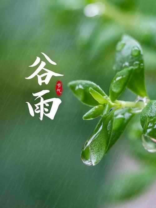 谷雨节气祝福语大全简短一句话（诗情画意，岁月静好）