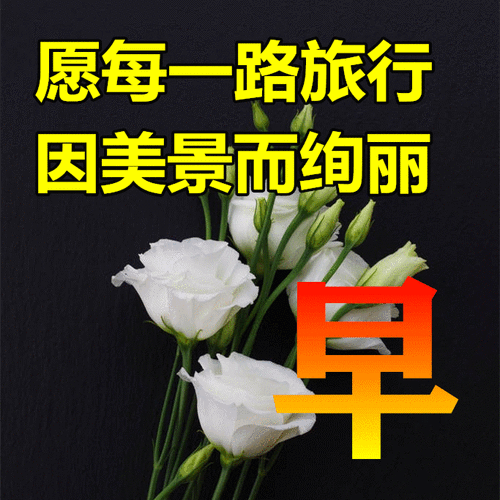 发给朋友早安短句（2023，早安问候）