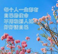 早上好的句子发朋友圈早安的句子（迎接美好的一天）