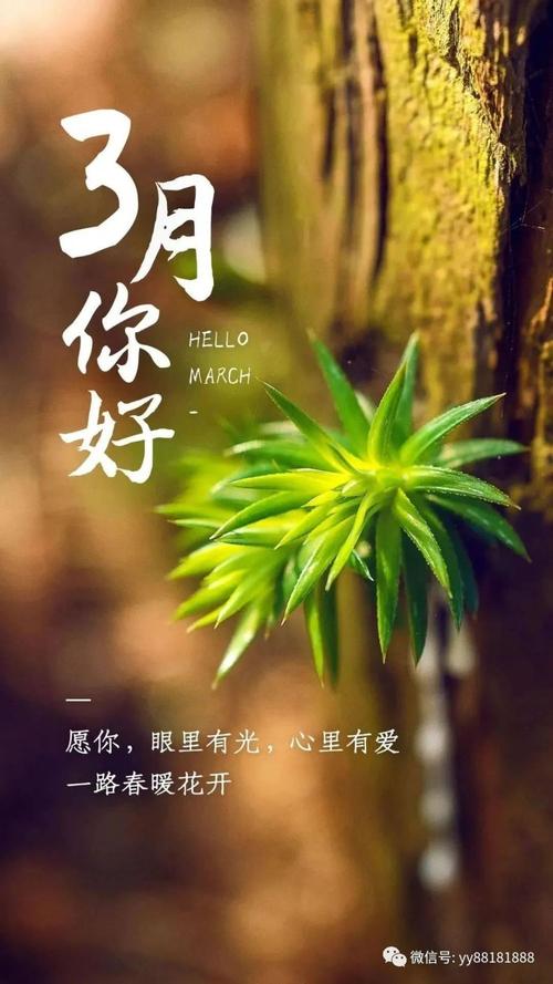 2月再见3月你好文案（相聚与离别，都是生命的馈赠）