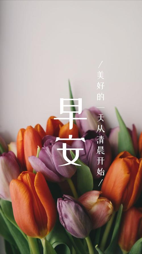 重阳节的早安说说（重阳节，送你美好的早安祝福）