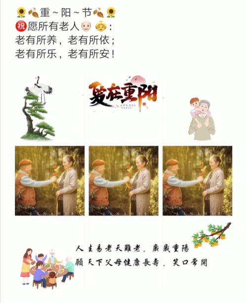 重阳节敬老的经典句子（向岁月致敬）