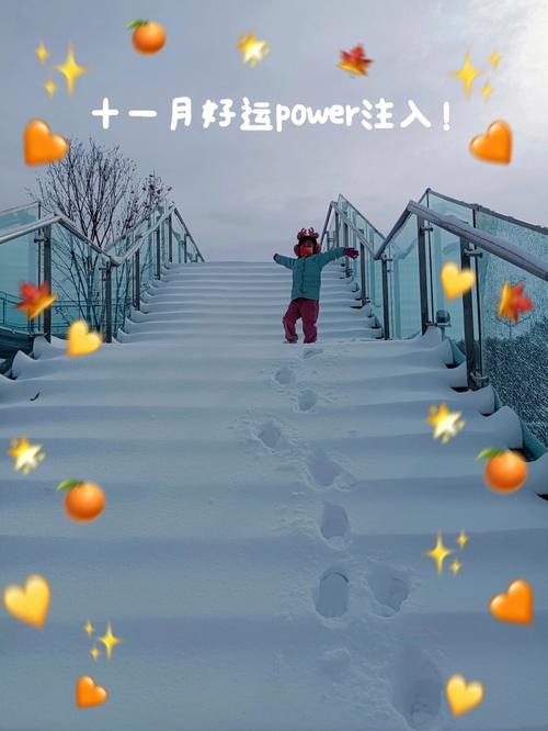 2020年冬天第一场雪说说（雪落山林，飘逸心境）