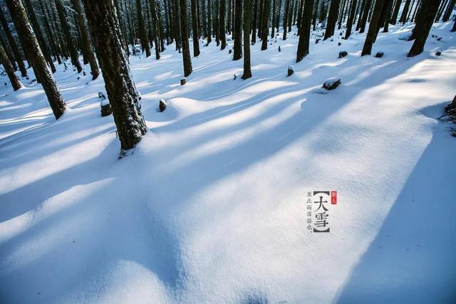 大雪节气的问候祝福语简短（2023大雪节气）