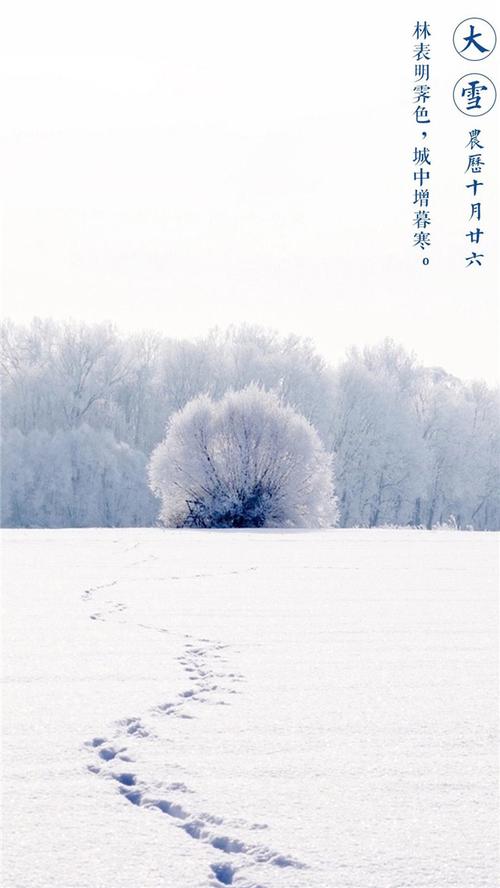 2020年大雪节气祝福语（2023大雪节气温暖祝福语）