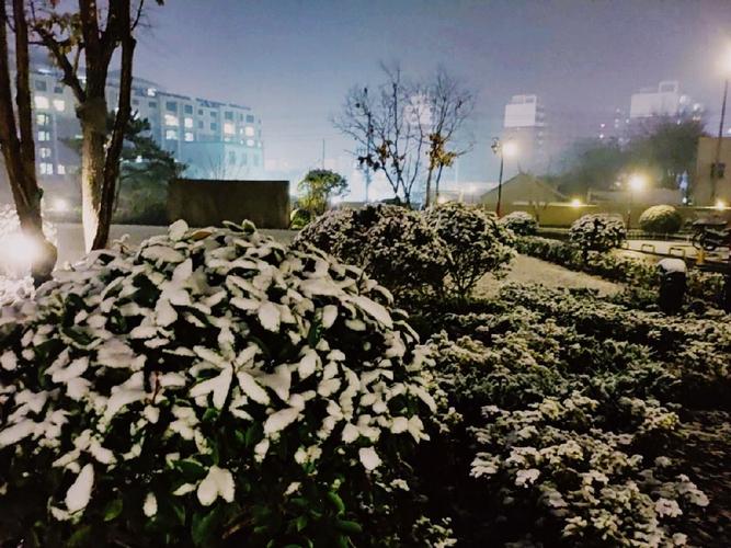 二零二零年第一场雪的说说（初雪飘落，唯美短句写进朋友圈）